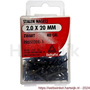 Deltafix stalen nagel standaard zwart 2.0x20 mm 40 g - H21901025 - afbeelding 1