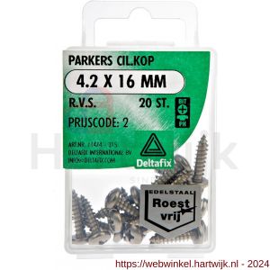 Deltafix parker cilinderkop Phillips PH RVS A2 4.2x16 mm DIN 7981C blister 20 stuks - H21901738 - afbeelding 1