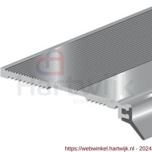 Deltafix slijtstrip met flap aluminium 2.20 m x 50 mm - H21903847 - afbeelding 1