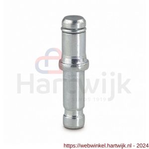 Tente meubelwielstift zakje 4 stiften met ring verzinkt 10 mm - H21904988 - afbeelding 1