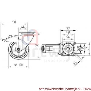 Tente zwenkwiel met rem grijs 100 mm maximaal 100 kg - H21905298 - afbeelding 2