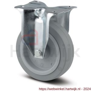 Tente bokwiel grijs 100 mm maximaal 160 kg - H21904941 - afbeelding 1