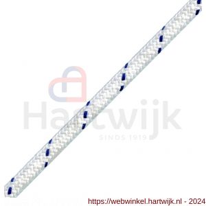 Deltafix touw schootlijn wit blauw 100 m 10 mm - H21902900 - afbeelding 1