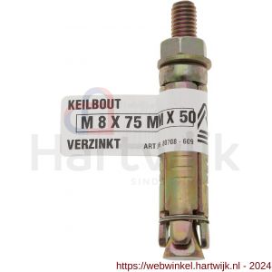 Deltafix keilbout met moer verzinkt M6x75x40 mm - H21900596 - afbeelding 1