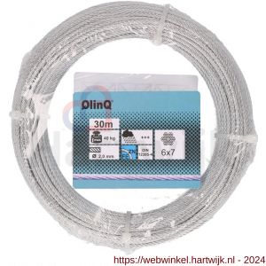 QlinQ staaldraad 2 mm verzinkt 30 m rol - H40850987 - afbeelding 1