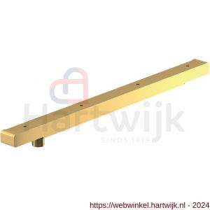 Dormakaba G-N XEA glijarm dagmontage goud - H10180203 - afbeelding 1