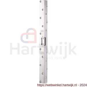 Maasland AB16U elektrische deuropener arbeidsstroom lange hoeksluitplaat 10-24 V AC/DC 780 - H11301072 - afbeelding 1