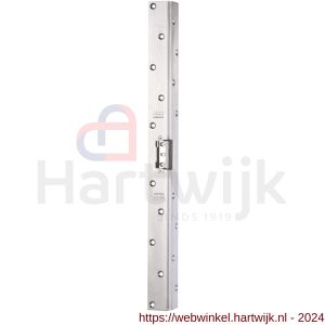 Maasland API16U elektrische deuropener arbeidsstroom lange hoeksluitplaat 50 cm 10-24 V AC/DC vrijzetpal - H11300924 - afbeelding 1