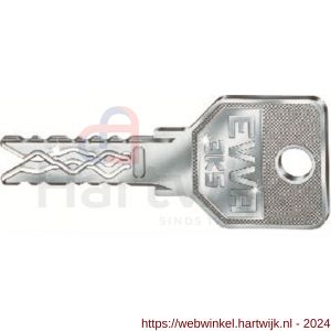Evva nieuw zilver sleutel geleverd bij 1e aankoop van een nieuw systeem - H22102731 - afbeelding 1