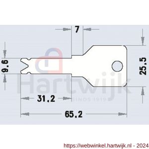 Evva nieuw zilver sleutel geleverd als nalevering zonder cilinder - H22102716 - afbeelding 2