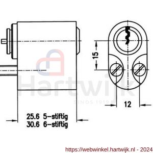 Evva buitenzijde Zweedse cilinder EPS 35x20 mm stiftsleutel conventioneel plan messing vernikkeld - H22100551 - afbeelding 2