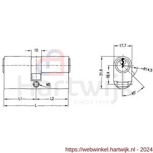 Evva ovaalcilinder TSC 31/31=62 mm stiftsleutel conventioneel verschillend sluitend messing vernikkeld - H22100538 - afbeelding 2