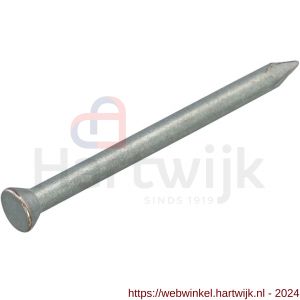 Hoenderdaal betonnagel mechanisch staal verzinkt platkop PK 3.0x60 mm - H51402350 - afbeelding 1