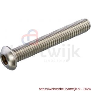 Hoenderdaal laagbolkopschroef RVS A2 IB 6 ISO 7380 M10x30 mm - H51403531 - afbeelding 1