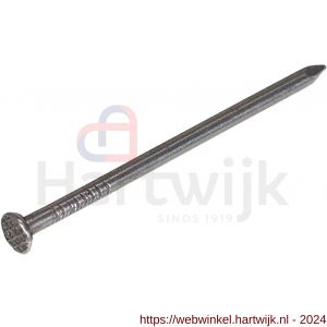 Homefix draadnagel staal blank platkop PK 5.0x125 mm - H51402166 - afbeelding 1