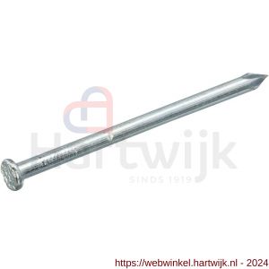 Hoenderdaal draadnagel staal verzinkt platkop PK DIN 1151 1.0x15 mm - H51402178 - afbeelding 1
