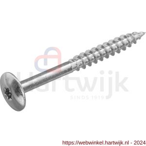 Hoenderdaal HPL schroef RVS A2 Torx TX 20 staal blank 4.8x50 mm - H51403455 - afbeelding 1