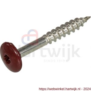 Hoenderdaal HPL schroef RVS A2 Torx TX 20 wijnrood RAL 3005 4.8x38 mm - H51403478 - afbeelding 1