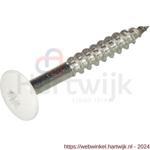 Hoenderdaal HPL schroef RVS A2 Torx TX 20 zuiver wit RAL 9010 4.8x60 mm - H51403483 - afbeelding 1