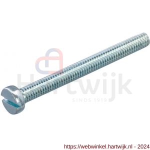 Hoenderdaal metaalschroef staal verzinkt cilinderkop CK zaagsnede DIN 84 M10x100 mm - H51403734 - afbeelding 1