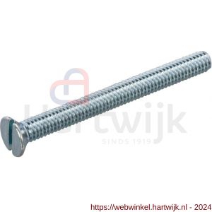 Hoenderdaal metaalschroef staal verzinkt platkop PK zaagsnede DIN 963 M2x10 mm - H51404004 - afbeelding 1