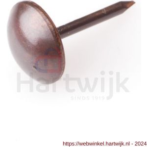 Homefix meubelnagel brons kop 9.0 mm 1.4x16 mm - H51402309 - afbeelding 1