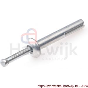 Rawl metalen nagel plug zamak 6x65 mm - H51402445 - afbeelding 1