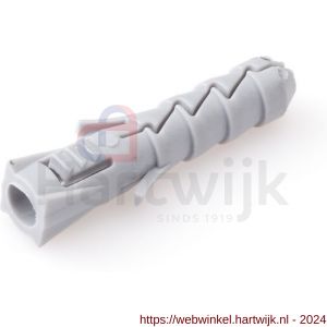 Homefix nylon plug 8x40 mm met spaanplaatschroef staal verzinkt platkop PK Torx TX 25 5.0x50 mm - H51400104 - afbeelding 1