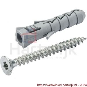 Homefix nylon plug 6x30 mm met spaanplaatschroef staal verzinkt platkop PK Torx TX 20 4.0x40 mm - H51400106 - afbeelding 1