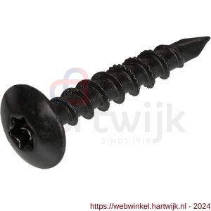 Blackline tuinbeslagschroef AR-coating ovaalkop OVK zwarte kop Torx TX 30 6.0x40 mm - H51404565 - afbeelding 1