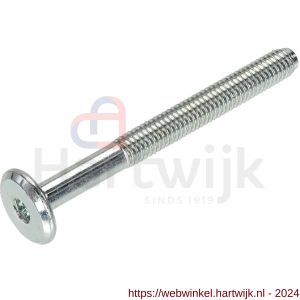 Hoenderdaal verbindingsbout staal verzinkt cilinderkop CK SW 4 M6x70 mm - H51407040 - afbeelding 1