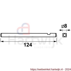 AXA Set krukstiften 124x8 (10x) verlengd - H21600621 - afbeelding 2