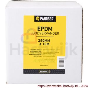 Pandser EPDM loodvervanger 0,25x10 m zwart - H50200360 - afbeelding 2