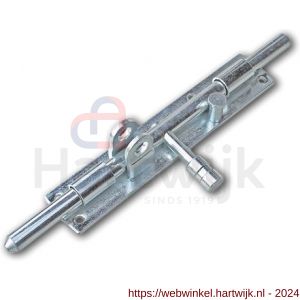 IBFM HSG 200V hangslotgrendel verticaal diameter 12 mm 200 mm verzinkt - H30204926 - afbeelding 1