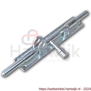 IBFM HSG 250V hangslotgrendel verticaal diameter 12 mm 250 mm verzinkt - H30204927 - afbeelding 1