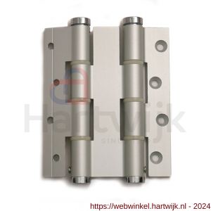 Justor DVD 120/30 SE deurveerscharnier dubbel 120/30 mm zilvergrijs - H30204167 - afbeelding 1