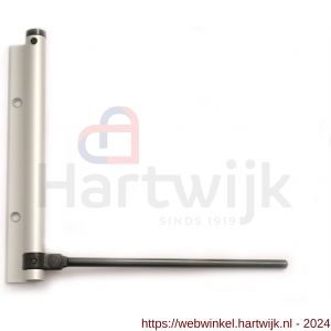 Justor DVP 180 SE deursluiter met pen zwaarte instelbaar voor buiten 40 kg zilver - H30204917 - afbeelding 1