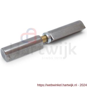 IBFM Dulimex DX HPL WR 4 150 aanlaspaumelle messing pen en kogellager ring 150x20 mm platte kop blank staal - H30203670 - afbeelding 1