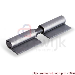 Dulimex DX HPL WR LP 100 aanlaspaumelle losse pen gegalvaniseerd met blad 100x10 mm blank staal - H30204717 - afbeelding 1