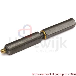 IBFM Dulimex DX HPL WR SM 140 aanlaspaumelle smeernippel stalen pen en messing ring 140x16 mm blank staal - H30201821 - afbeelding 1