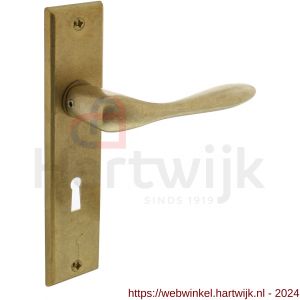 Intersteel Living 0201 deurkruk Banaan met schild 181x41x7 mm sleutelgat 56 mm messing getrommeld - H26007902 - afbeelding 1
