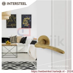 Intersteel Living 0466 deurkruk Zaia met geveerde kunststof rozet met nokken diameter 50x7 mm messing mat PVD - H26009870 - afbeelding 2