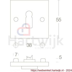 Intersteel Living 3184 sleutelplaatje met nokken vierkant 55x55x8 mm messing chroom mat - H26007601 - afbeelding 2