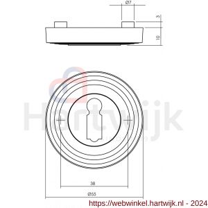 Intersteel Living 3178 sleutelplaatje met ril verdekt met nokken diameter 54x9 mm zamak oud grijs - H26008154 - afbeelding 2