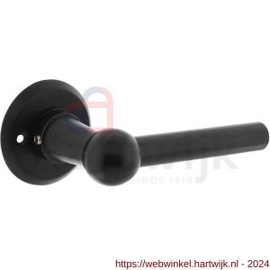 Intersteel 0446 gatdeel deurkruk L/L bol met rozet diameter 50x5 mm zwart - H26010243 - afbeelding 1