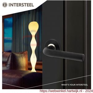 Intersteel Living 0570 deurkruk Luzern op ronde rozet met ring met veer RVS mat zwart - H26008198 - afbeelding 3