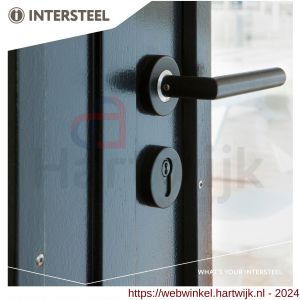 Intersteel Living 0583 deurkruk Jura op ronde rozet met ring met veer RVS mat zwart - H26006755 - afbeelding 3