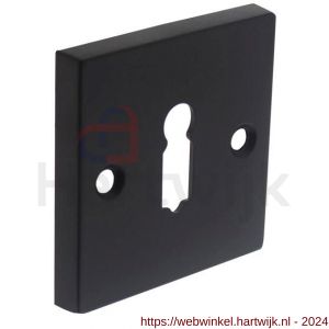 Intersteel Living 3184 sleutelplaatje met nokken vierkant 55x55x8 mm messing zwart - H26002553 - afbeelding 1