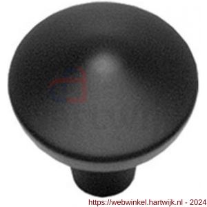 Intersteel Living 8478 meubelknop punt rond 20 mm mat zwart - H26004124 - afbeelding 1