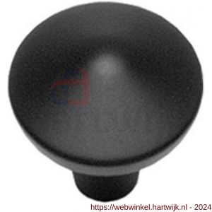 Intersteel Living 8478 meubelknop punt rond 25 mm mat zwart - H26004125 - afbeelding 1
